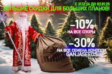 GanjaSeeds: Большие скидки для больших планов!