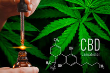 Растительный CBD vs симптомы и последствия болезни