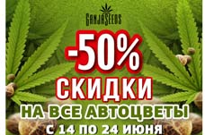 Cемена конопли auto feminised и грибные отпечатки с 50% скидкой!